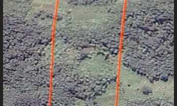 Imagem 5: Chácara, frente para o Rio, e parte alta para fazer uma bela morada