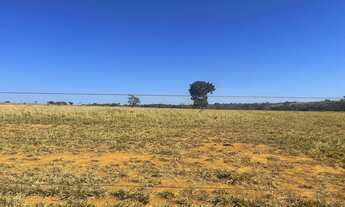 Imagem 6: Fazenda com 656 alq formado + 190 alq. APP em são Miguel do Araguaia Go. 120milhões
