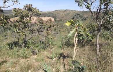 Imagem 5: Terreno de 7 hectares, com nascente e córrego nos fundos, próximo a Serra do Cipó