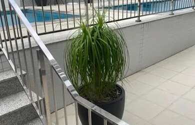 Imagem 3: Pelinca/2Quartos(Suíte )/ 1 vaga /R$450.000,00