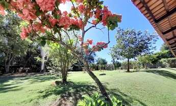 Imagem: A venda Chácara em Nova Veneza 5.000m²