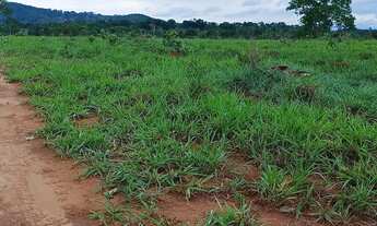 Imagem 7: Fazenda com dupla aptidão 41,5 alqueires, Planta em 21. Campinorte-GO