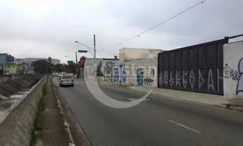 Imagem 3: Exceçlente terreno plano regente feijo 3254 metros