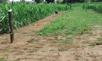 Imagem 4: Chácara Chácara com venda por R$350.000