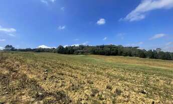 Imagem 5: LOTES DE 500² A 10 MINUTOS DE CAUCAIA DO ALTO