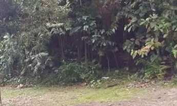 Imagem 4: LOTE de 363m2 no Condomínio ALPHAVILLE 04