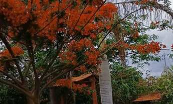 Imagem 2: Chácara no Vale dos Ipês