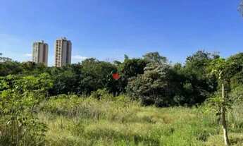 Imagem 5: Área de uso residencial ou comercial em Bonfim Paulista, com 15.391,50m² à venda em Ribeir