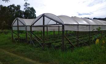 Imagem 4: Lindo Sítio com água em abundância