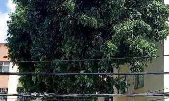 Imagem: Apartamento 3 quartos no Stiep