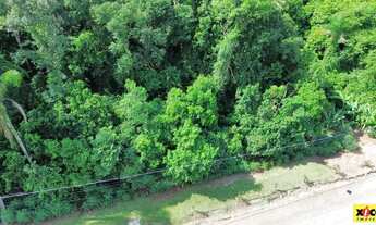 Imagem 5: Terreno para Venda em Picada Café, Floresta