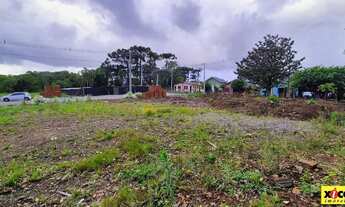 Imagem 4: Terreno para Venda em Nova Petrópolis, Logradouro
