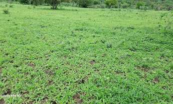 Imagem 2: Belíssima fazenda de aproximadas, 429 t, sede, curral, aguadas, rio, riacho, energia plana
