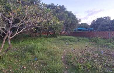 Imagem 2: VENDO OU TROCO TERRENO NA BEIRA DO RIO EM SANTO AMARO