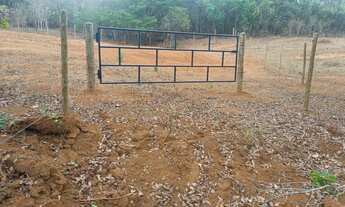 Imagem 5: Vendo chácara de 1500 metros toda cercada com energia (pego carro pego moto