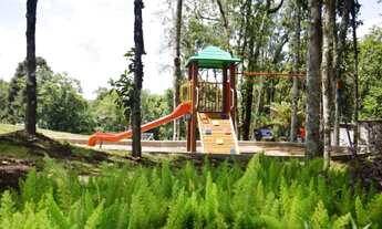 Imagem 6: CAXIAS DO SUL - Terreno Padrão - PEDANCINO