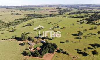 Imagem 4: FAZENDA PARA LOTEAMENTO