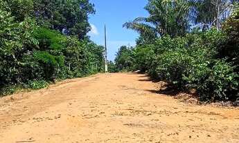 Imagem 6: Imóvel para venda possui 300 metros quadrados em Compensa - Manaus - AM