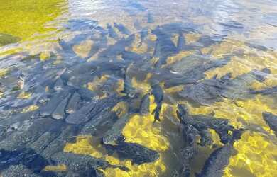 Imagem 6: Lagoa tambaquis abais sitio