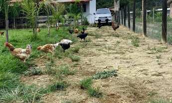 Imagem 6: Vendo chácara rio uru itaberai/goias