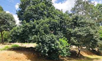 Imagem: Lote em condomínio em Rua Beija-Flor de