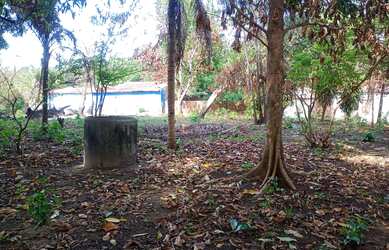 Imagem 10: SITIO NO MARACANÃ