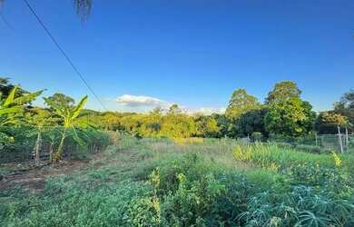 Imagem 3: Terreno à venda e para alugar em Piracicaba, Conceição, com 955 m²