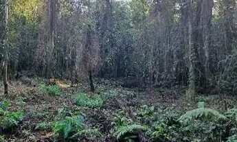 Imagem 6: Terreno em Ubatuba