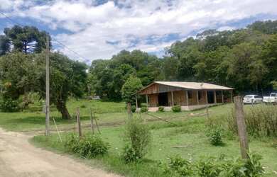 Imagem 3: Chácara medindo 5 mil metros no Marmeleiro Alm Tamandaré