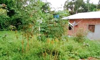 Imagem 2: Vendo terreno /iranduba