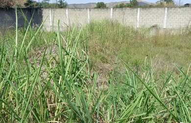 Imagem 3: ótimo lote de terreno