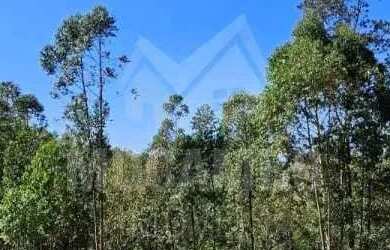 Imagem 4: Sítio : / Rural / Centro (Arcadas