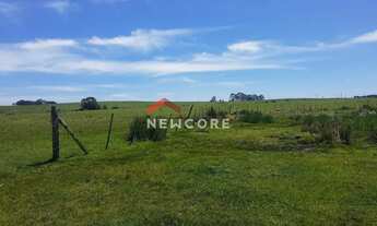 Imagem 7: Fazenda em Lageado Grande - Tainhas - São Francisco de Paula/RS