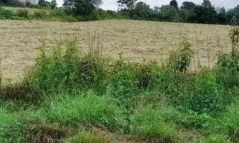 Imagem 4: Área à venda, 85600 m² por R$ 25.000.000,00 - Vila Rivabem - Campo Largo/PR