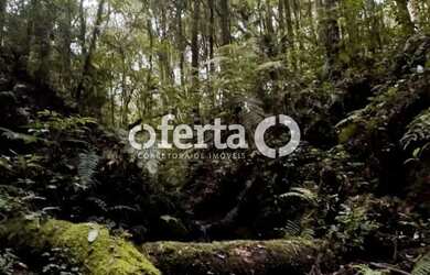 Imagem 5: Chácara em Contenda