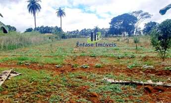 Imagem 7: Terreno com nascente e água corrente em Igarapé
