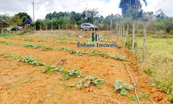 Imagem 4: Terreno com nascente e água corrente em Igarapé