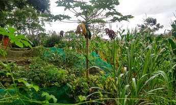 Imagem: 1380 MTS pronto para lazer ou morar fácil