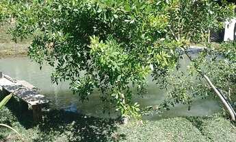 Imagem 4: Para quem quer Paz e Sossego