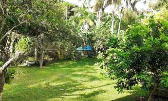 Imagem 7: Florianópolis - Casa Padrão - Campeche