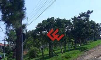 Imagem 3: Terreno à venda, 491 m² por R$ 219.000,00 - Vila Morada Gaúcha - Gravataí/RS