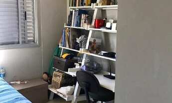 Imagem 7: ILHAS CANÁRIAS - BUTANTÃ