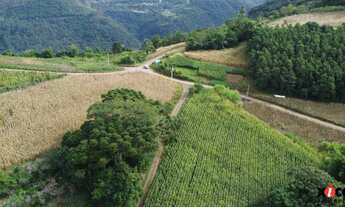 Imagem 7: Sítio / Chácara para Venda em Picada Café, Morro Hansen