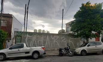 Imagem: SãO PAULO - Terreno Padrão - Vila Sônia