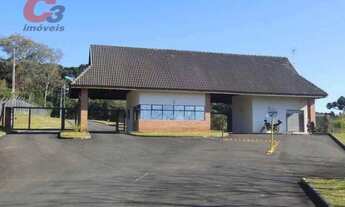 Imagem 3: Terreno à venda, 3500 m² por R$ 790.000,00 - Menino Deus - Quatro Barras/PR