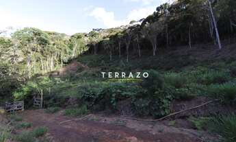 Imagem: TERRENO COM 25 MIL METROS Á VENDA EM VARGEM