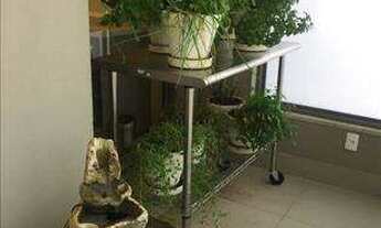 Imagem 5: Cobertura à venda, 265 m² por R$ 9.500.000,00 - Pinheiros - São Paulo/SP