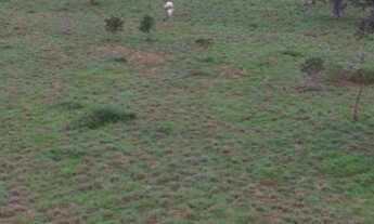 Imagem 3: Fazenda com aproveitamento de 80% para soja no vale do Araguaia - TO
