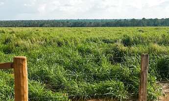 Imagem: Fazenda Documentada Disponível