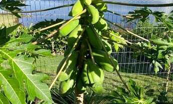 Imagem 4: Sobrado na Beira do lago do manso paraiso do manso